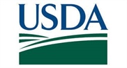 Secretary Rollins Visits Cotton Facility in Texas