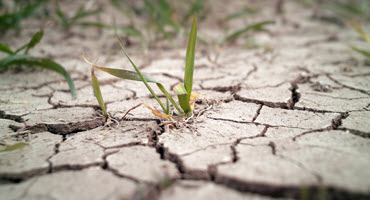 USDA Approves Aid for Nebraska Drought